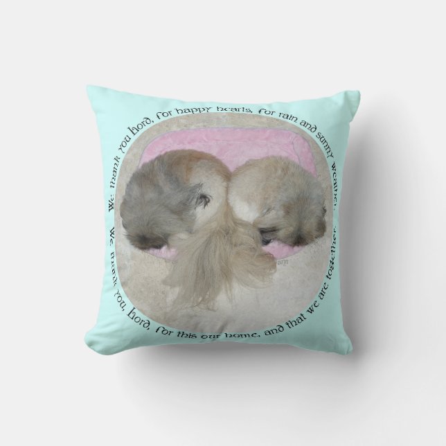 Coussin de jet Pékin - Deux Pékinois S'AIMENT (Recto)