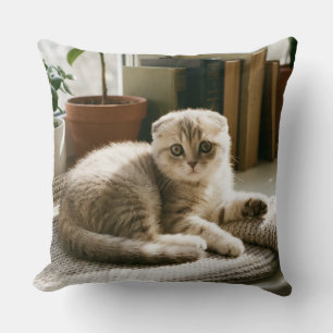 Coussin de jet Scottish Fold chat confortable
