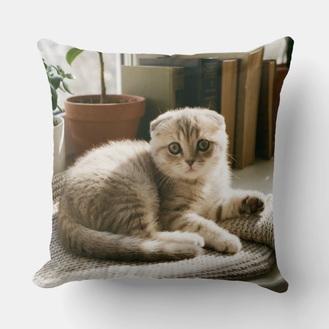 Coussin de jet Scottish Fold chat confortable (Recto)