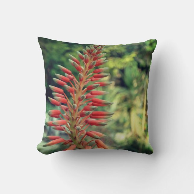 Coussin de jeté avec photo de plante d'Aloe Vera,  (Recto)