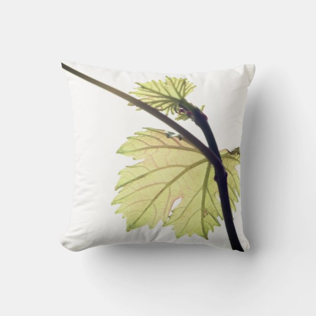 Coussin de jeté de feuilles vertes de vigne de rai (Recto)