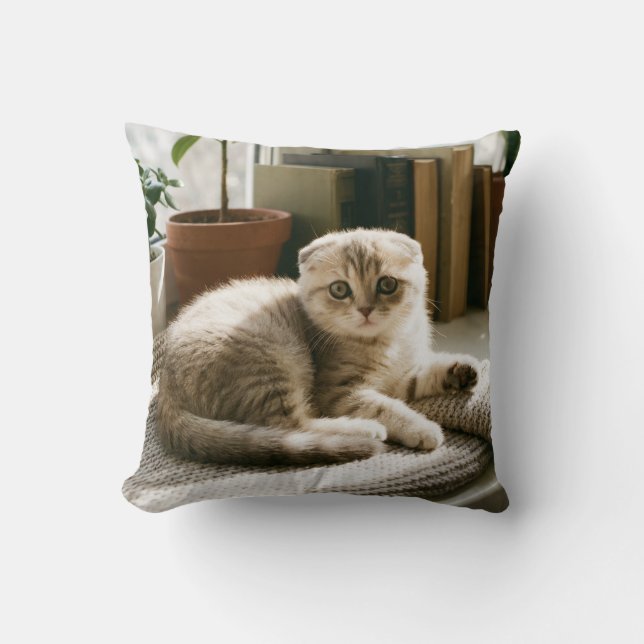 Coussin de jeté pour chat Scottish Fold Cozy (Recto)