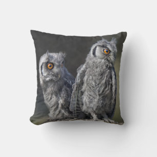 Coussin de Jeunes Hiboux
