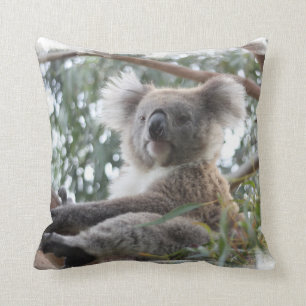 Coussin de koala