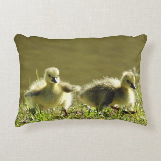 Coussin de la faune, oisons, oies canadiennes, (Devant)