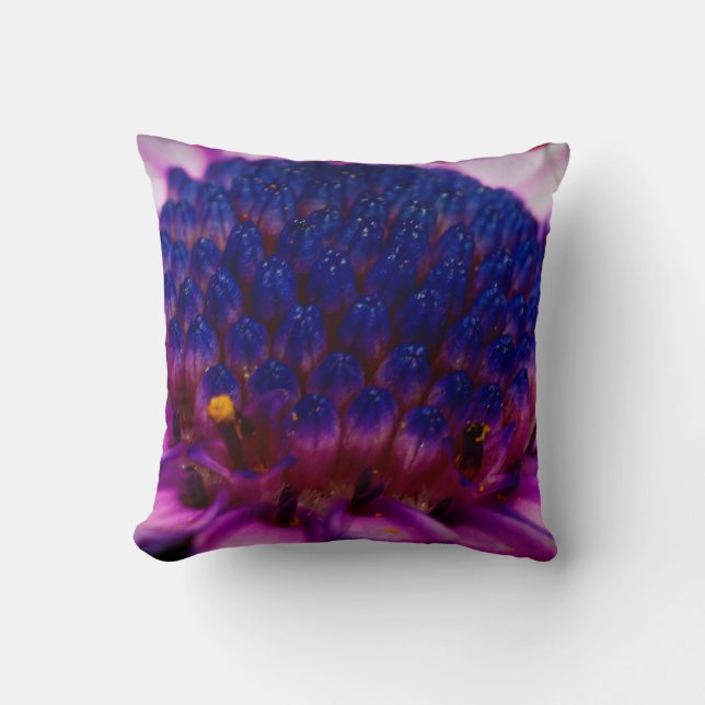 Coussin de la marguerite africaine (Recto)