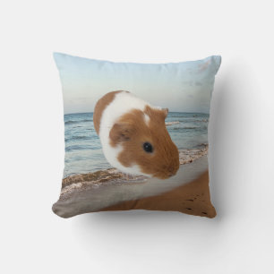 Coussin de la plage de Guinea Pig