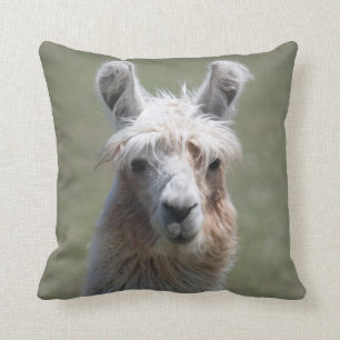 Coussin de lama