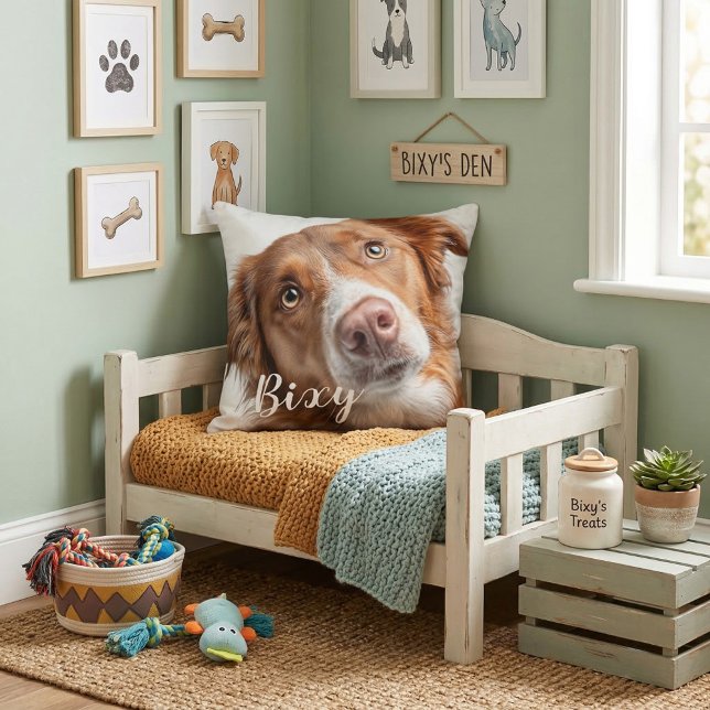 Coussin de lancer pour animaux de compagnie meille (Créateur téléchargé)