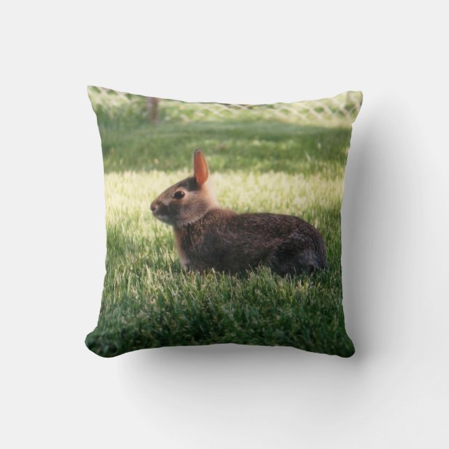 Coussin de lapin (Recto)