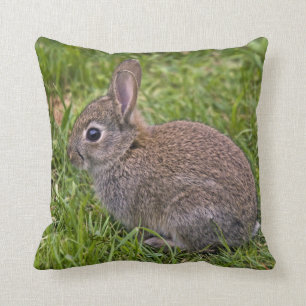 Coussin de lapin de bébé
