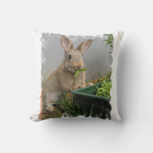 Coussin de lapin de lapin (Recto)