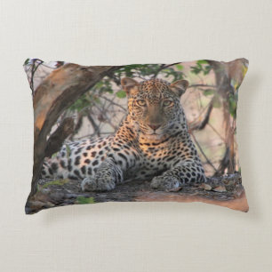 Coussin de léopard