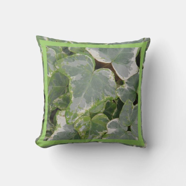 coussin de lierre vert et blanc, vert presque soli (Recto)