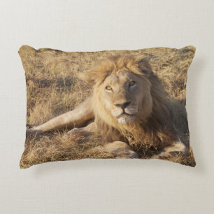 Coussin de lion
