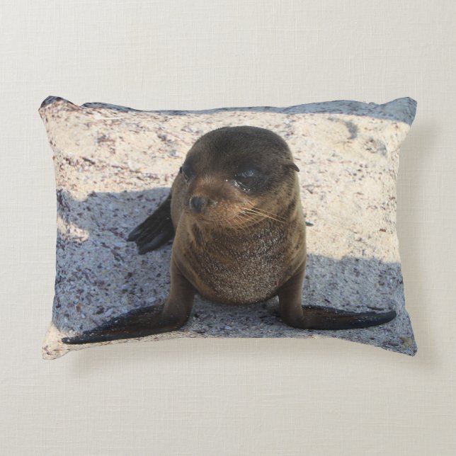 Coussin de lions de mer (Devant)