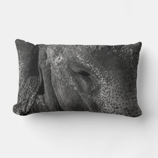 Coussin de l'oeil éléphant