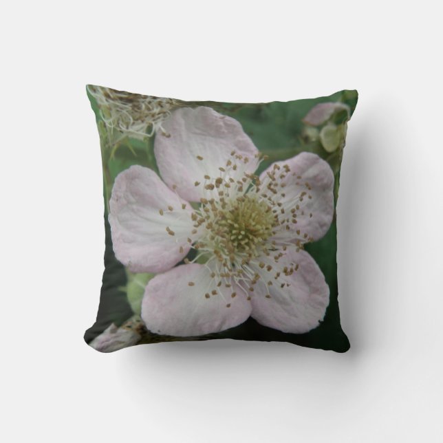 Coussin de macro à fleur de Blackberry (Recto)
