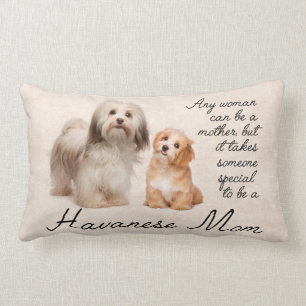 Coussin de maman de Havanese
