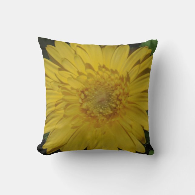 coussin de marguerite gerbeuse jaune presque solid (Recto)