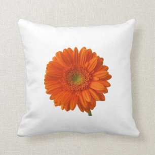 Coussin de marguerite orange