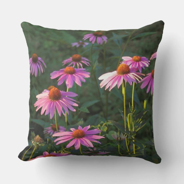 Coussin de marguerites roses (Recto)