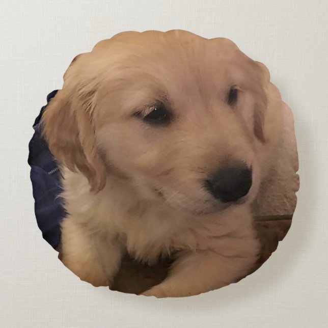 Coussin de marionnettes Golden Retriever (Devant)