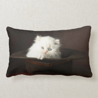 Coussin de MoJo d'Américain de chaton