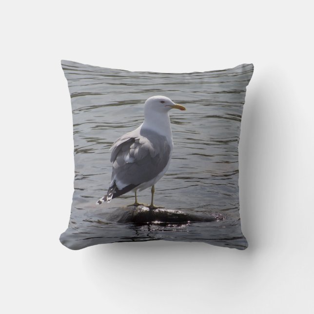 Coussin de mouette (Recto)