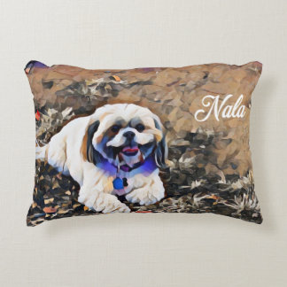 Coussin de Nala