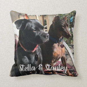 Coussin de noms d'animal domestique indiquant