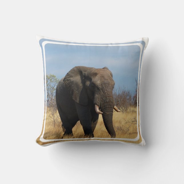 Coussin de pachyderme (Recto)