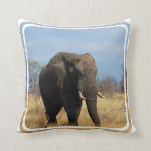 Coussin de pachyderme
