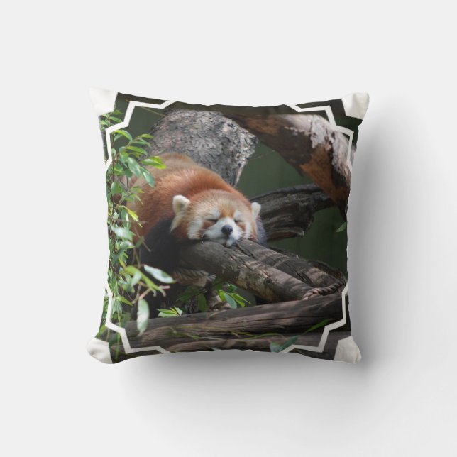 Coussin de panda rouge de sommeil (Recto)