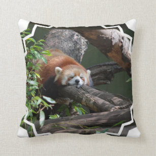 Coussin de panda rouge de sommeil