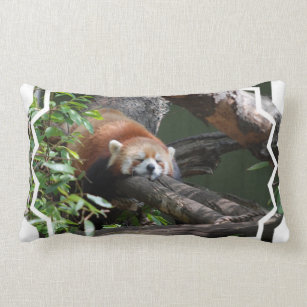 Coussin de panda rouge de sommeil