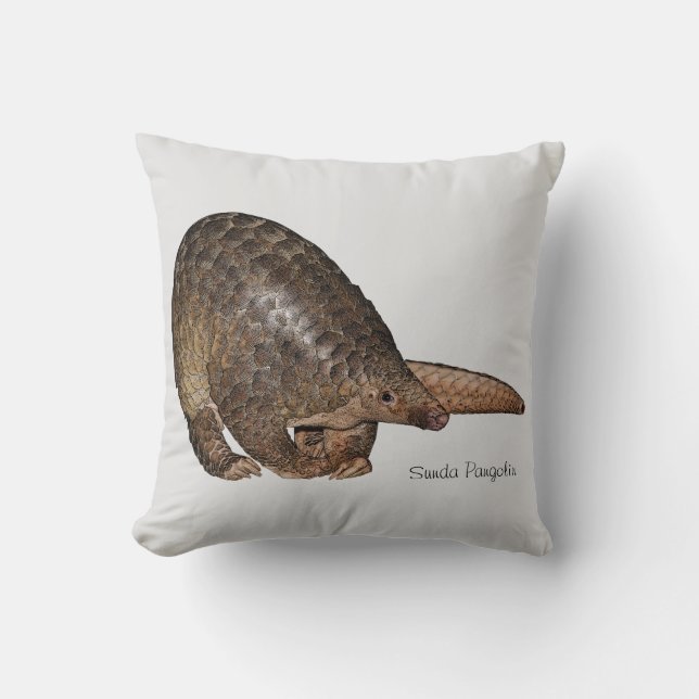 Coussin de Pangolin de Sunda (Recto)