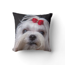 Coussin de petit chien de jouet blanc de chien