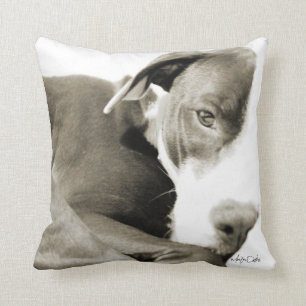 coussin de photographie de bull sépia