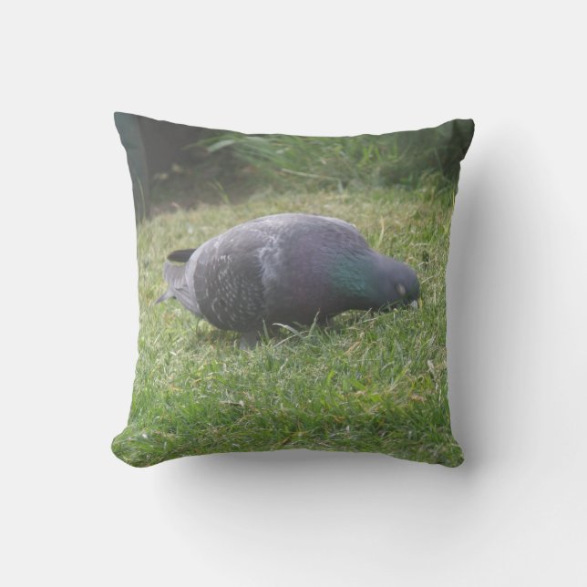 Coussin de pigeon dormant (Recto)