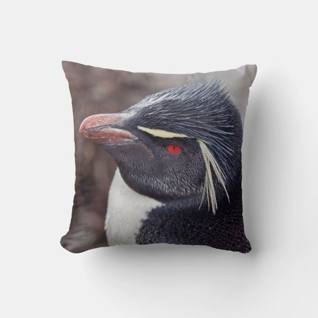 Coussin de pingouin de Rockhopper (Recto)