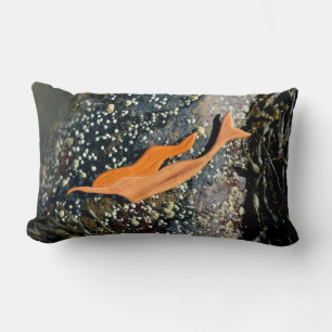 coussin de plongée de mermaid