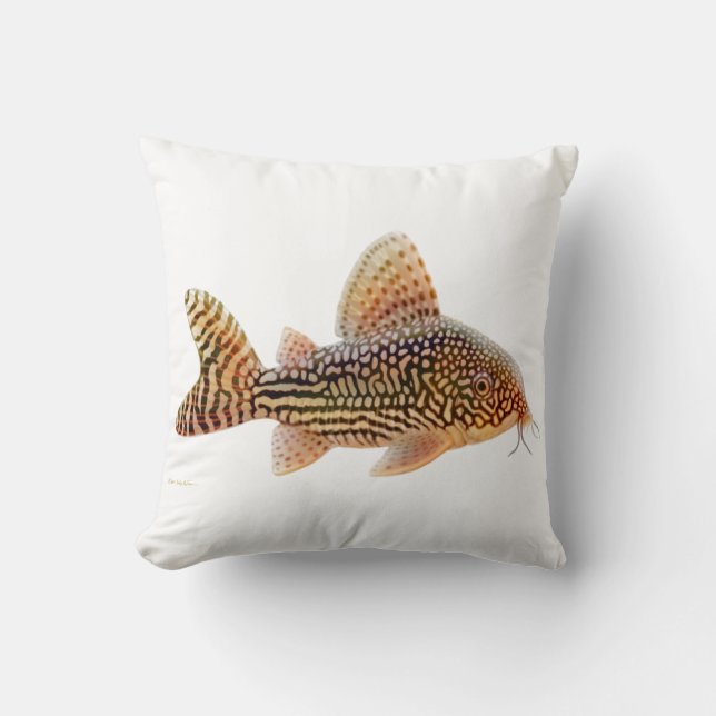 Coussin de poisson-chat de Corydoras Sterbae (Recto)