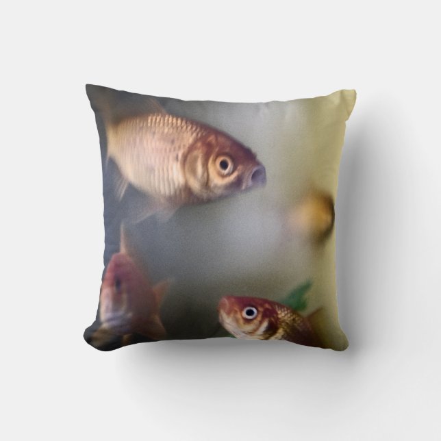 Coussin de poisson rouge (Recto)