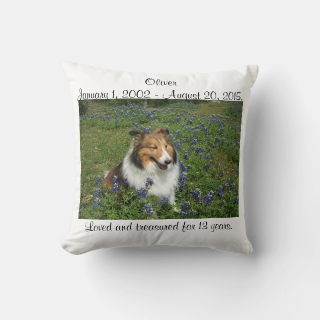 Coussin de pont en arc-en-ciel (Recto)