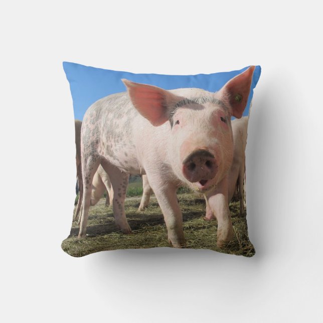 Coussin de porc mignon (Recto)