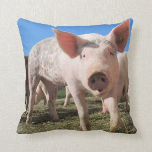 Coussin de porc mignon
