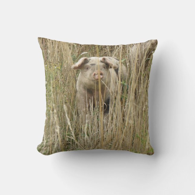 Coussin de porc mignon (Recto)
