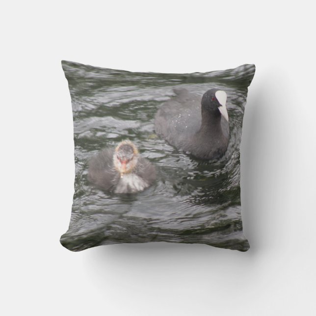 Coussin de poule et de poule (Recto)
