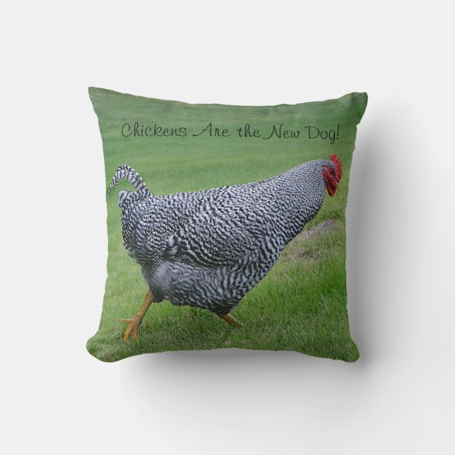 Coussin de poulet (Recto)
